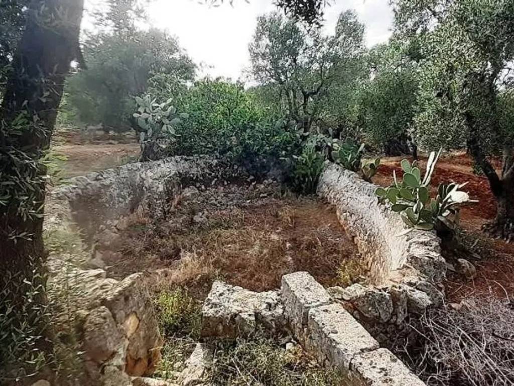 Rustico / casale a Ostuni in Contrada Tamburroni S.N.C. - Foto 5