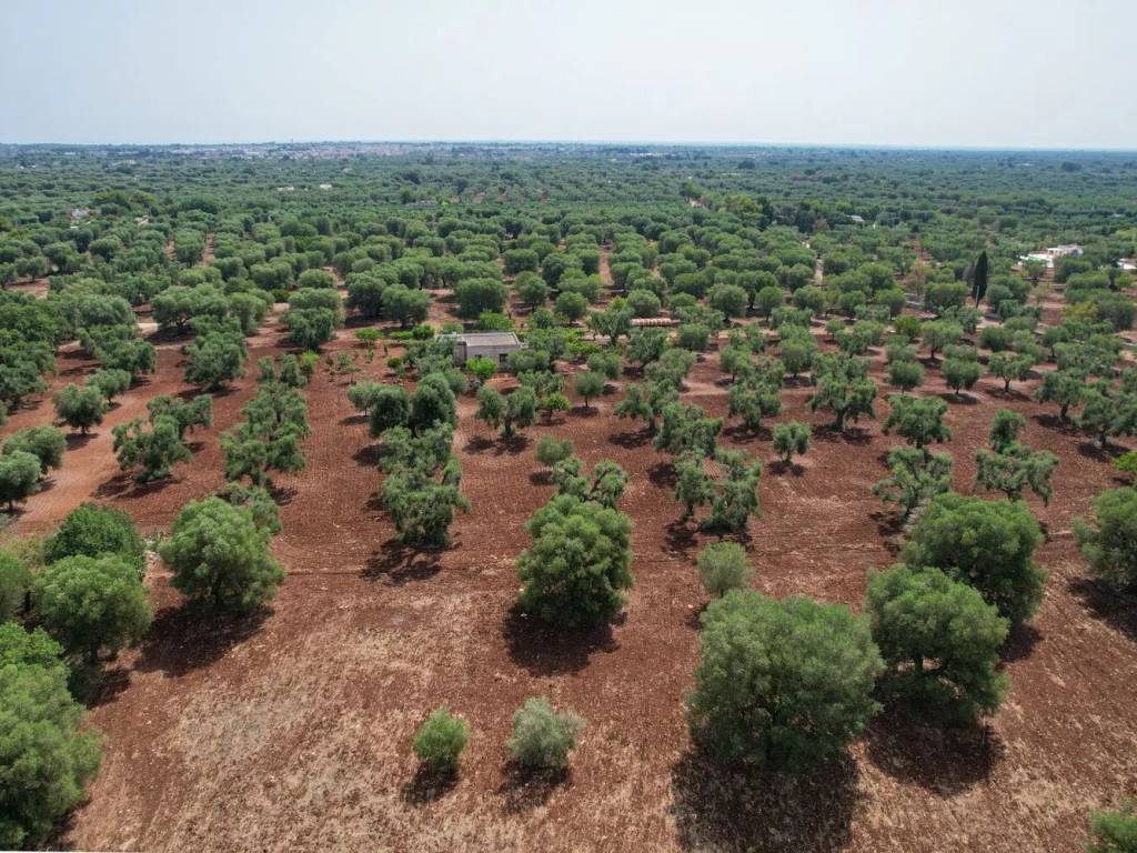 Villa a San vito dei normanni in Contrada S.N.C. - Foto 5