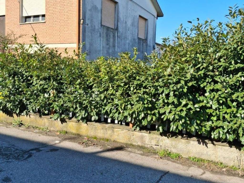 Terreno a Bagnacavallo in Via Umberto Giordano - Foto 2