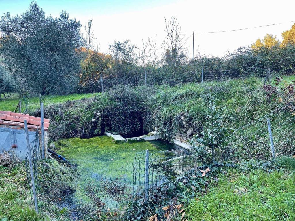 Terreno a Guardistallo in Via Roma - Foto 2