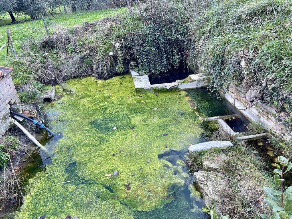 Terreno a Guardistallo in Via Roma - Foto 3