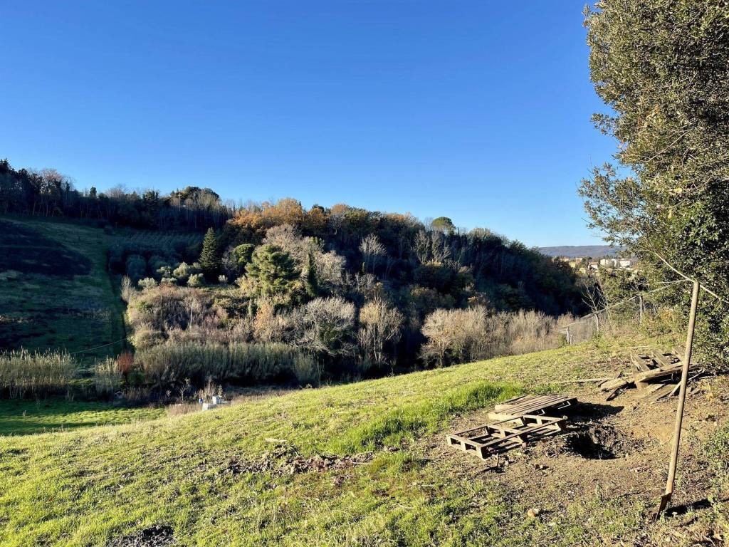 Terreno a Guardistallo in Via Roma - Foto 5