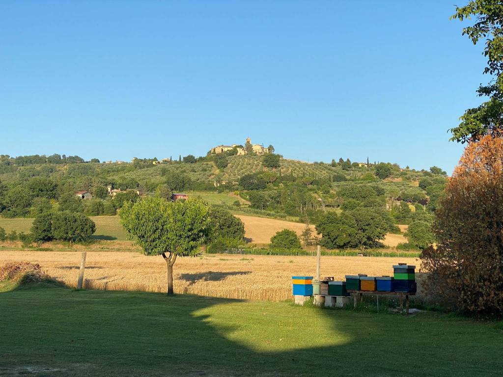 Rustico / casale a Assisi in sterpeto - Foto 4