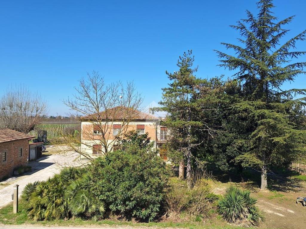 Casa indipendente a Bagnacavallo in Via Sottofiume Boncellino, 28 - Foto 4