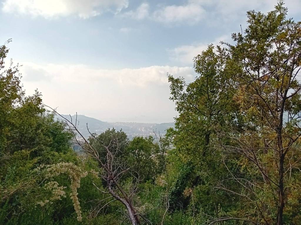 Terreno a Salerno in Località Fontana Fiore - Foto 2