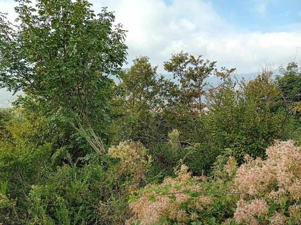 Terreno a Salerno in Località Fontana Fiore - Foto 5