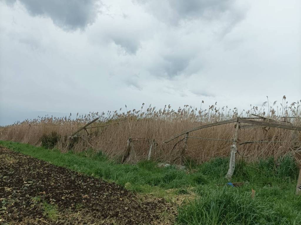 Terreno a Terracina in Via Ceccaccio - Foto 4