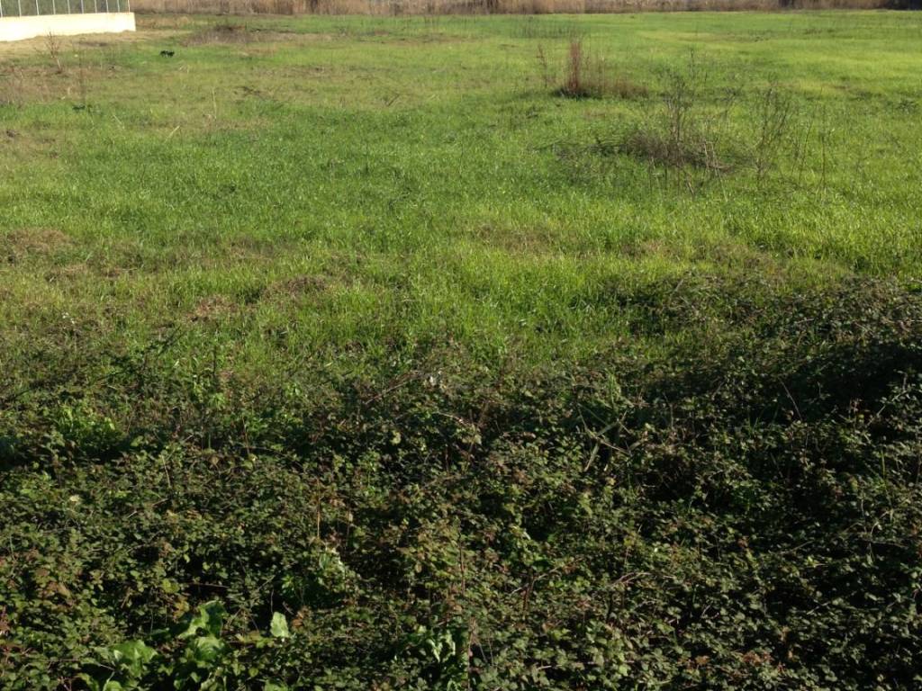 Terreno a Crotone in Via dei Caprifogli - Foto 2