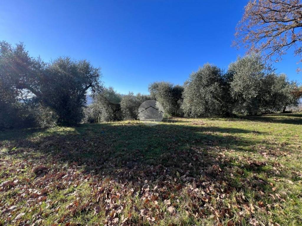 Terreno a Collevecchio in VIA COLLI - Foto 3