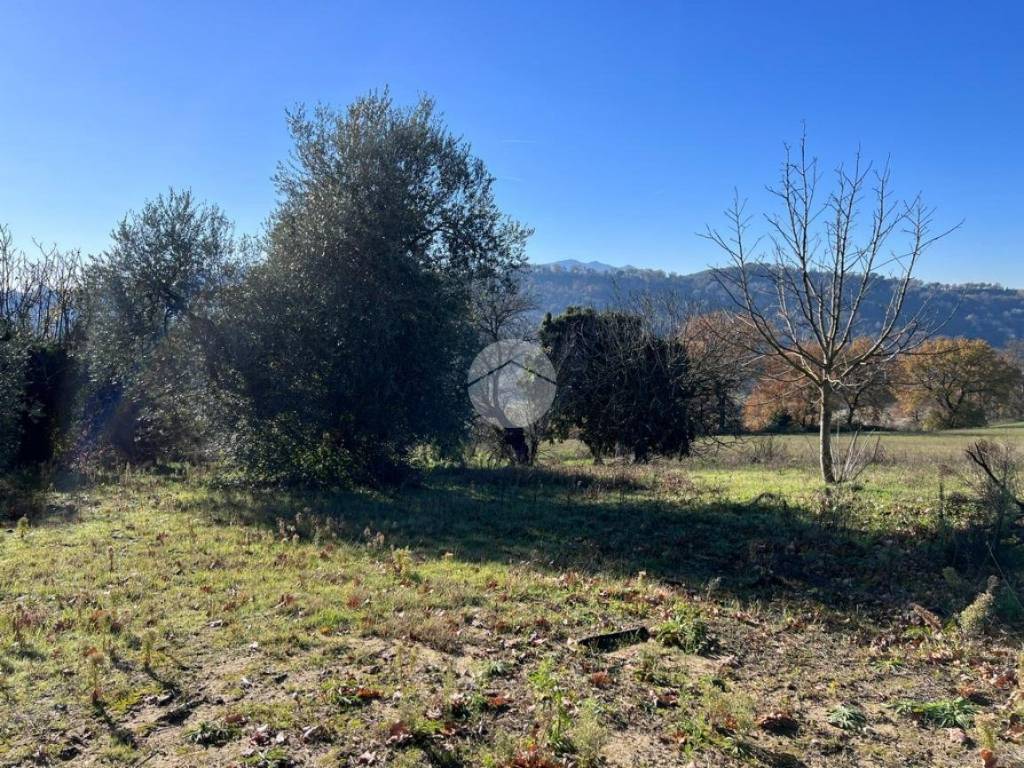 Terreno a Collevecchio in VIA COLLI - Foto 4