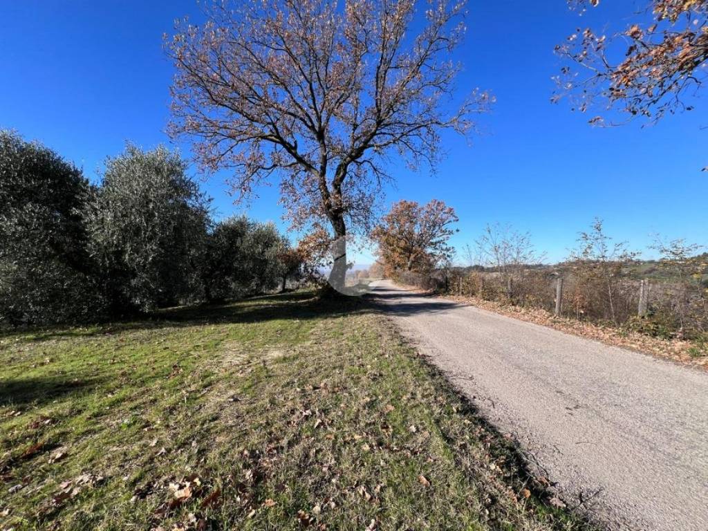 Terreno a Collevecchio in VIA COLLI - Foto 5