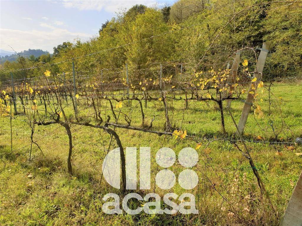 Terreno a Cesena in via madonna dell'olivo - Foto 2