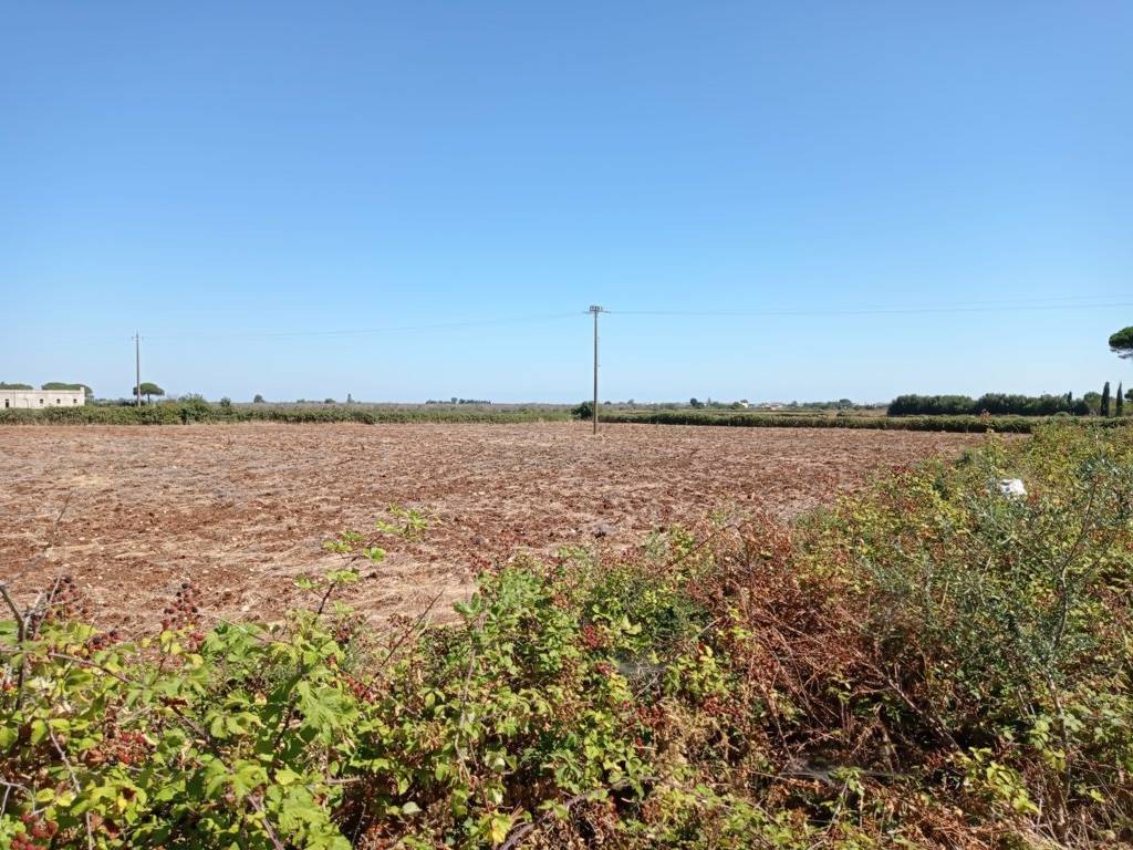 Terreno a Minervino di lecce in Strada Comunale Ortelle Cocumola - Foto 2
