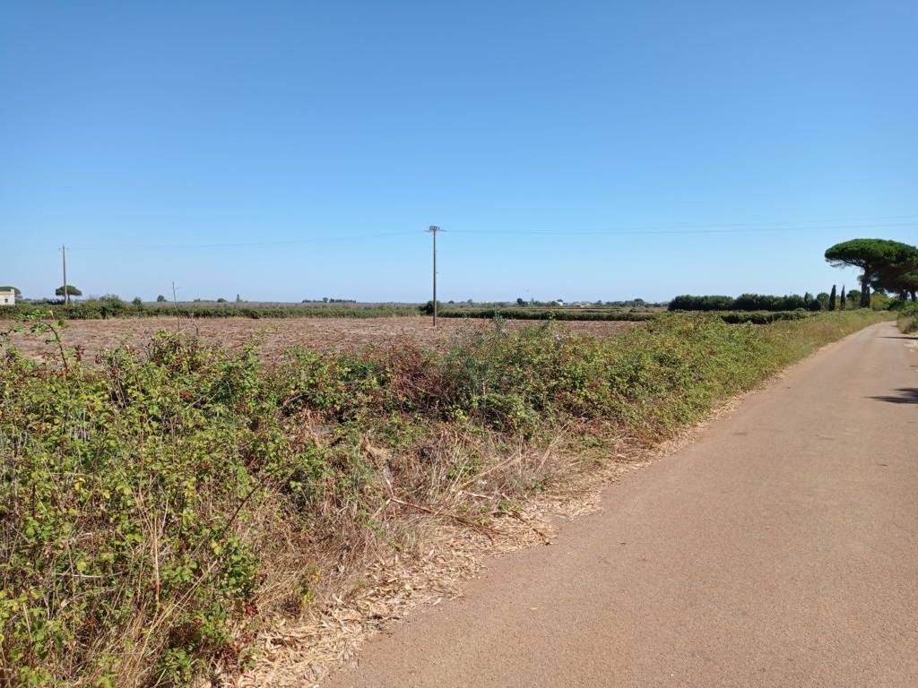 Terreno a Minervino di lecce in Strada Comunale Ortelle Cocumola - Foto 3