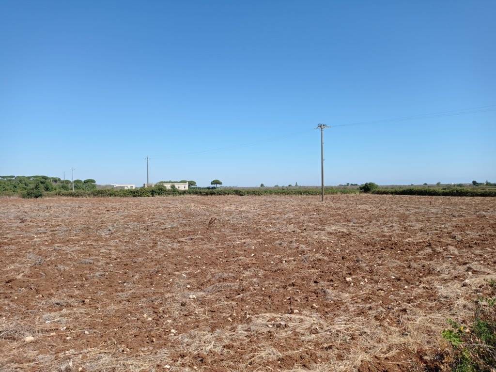 Terreno a Minervino di lecce in Strada Comunale Ortelle Cocumola - Foto 4