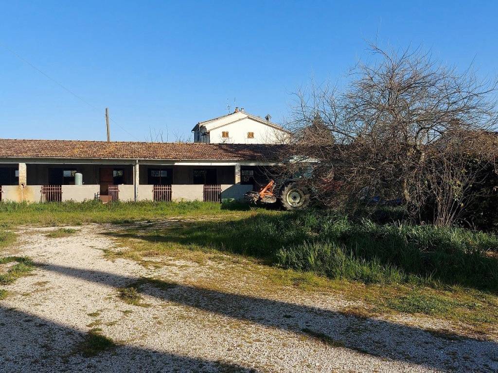Palazzo / stabile a Bettona in Via Perugia, 1 - Foto 3