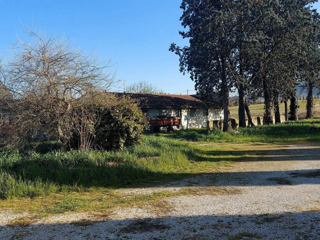 Palazzo / stabile a Bettona in Via Perugia, 1 - Foto 4
