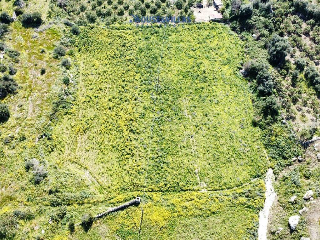Terreno a Avola in contrada puzzi - Foto 2