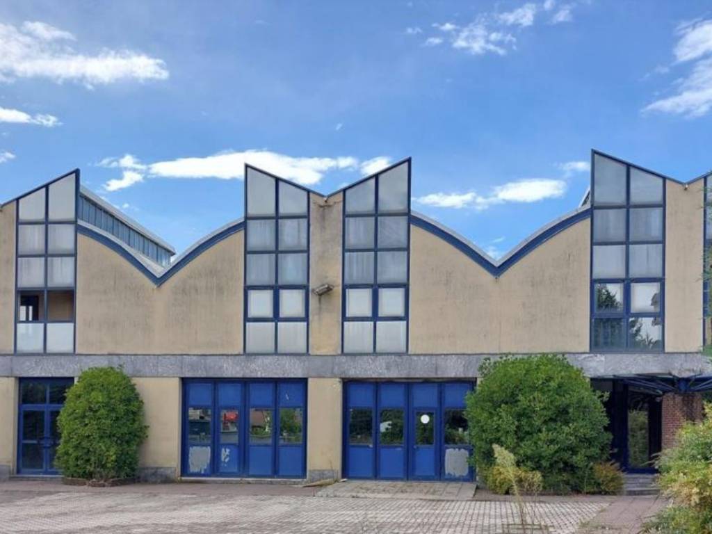 immagine di copertina