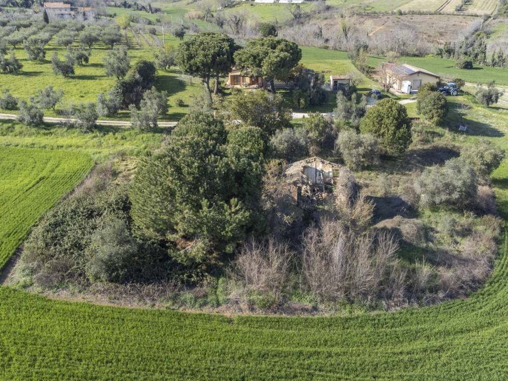 Terreno a Montecosaro in Località Cavallino - Foto 2