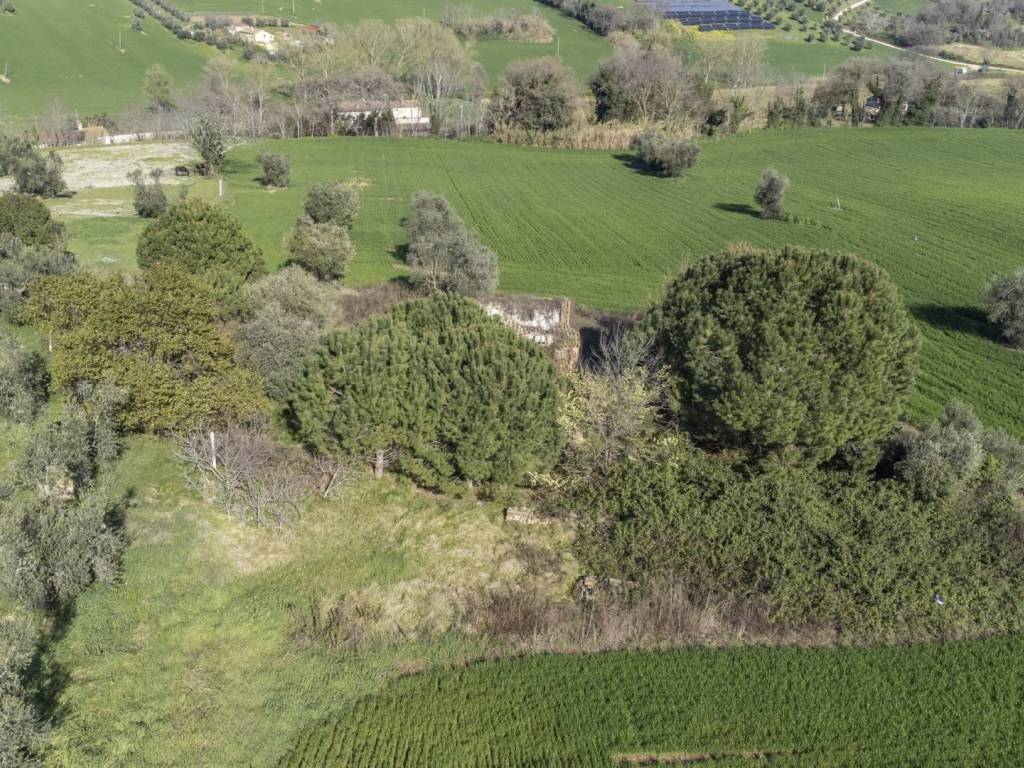 Terreno a Montecosaro in Località Cavallino - Foto 5