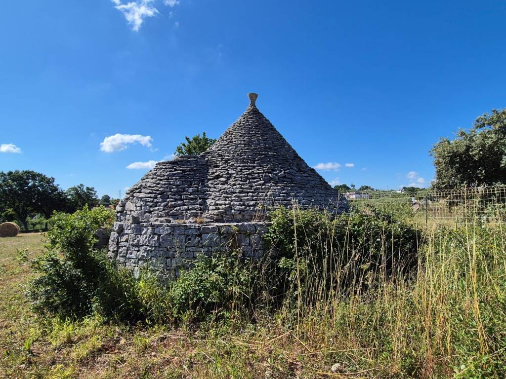 Rustico / casale a Cisternino in Contrada Figazzano - Foto 3