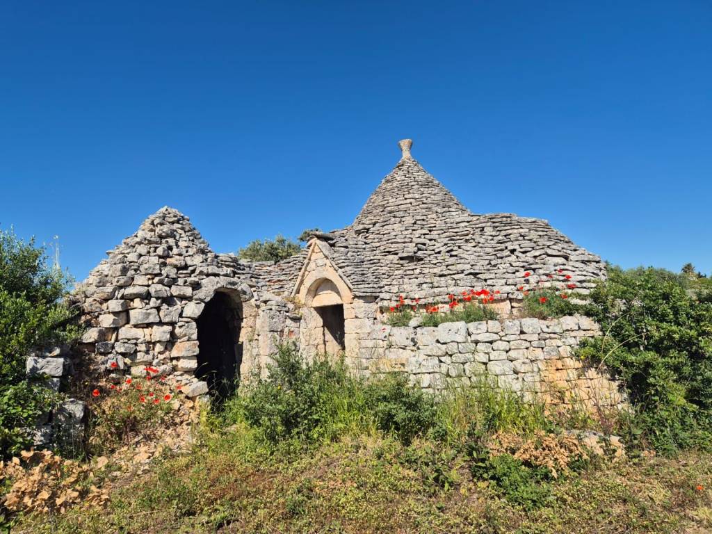 Rustico / casale a Cisternino in Contrada Figazzano - Foto 4