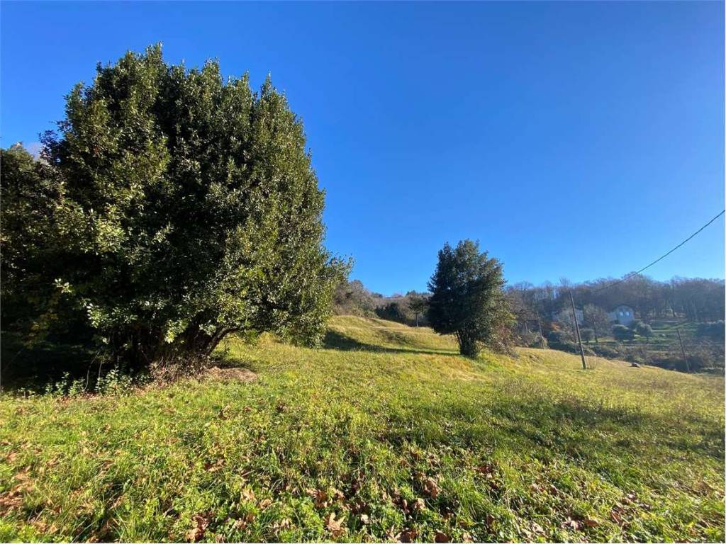 Rustico / casale a Galbiate - Foto 2