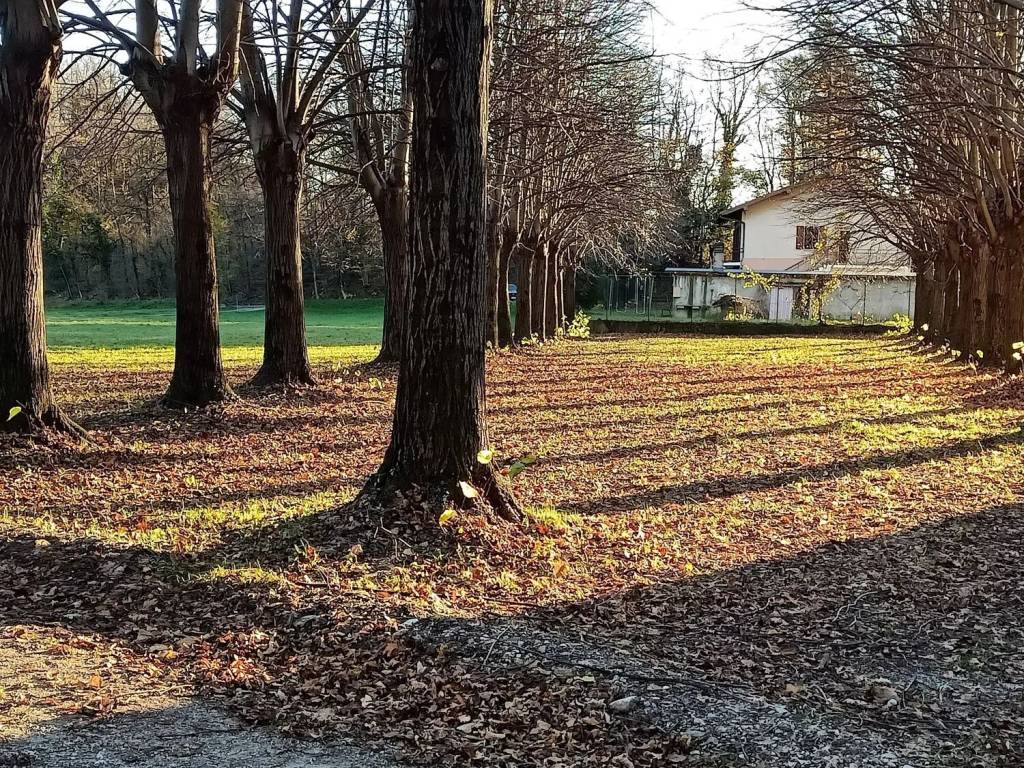 Villa a Viggiù in Viale Varese1 - Foto 5