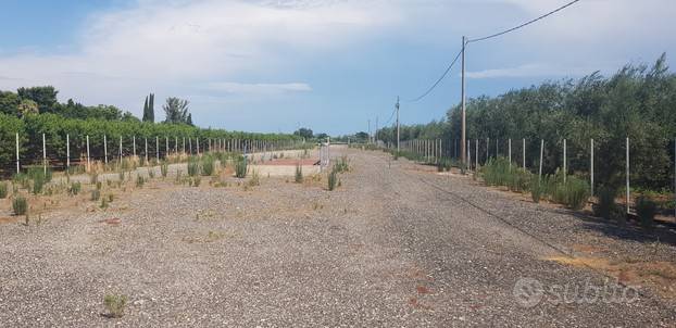 Terreno a Barletta - Foto 2