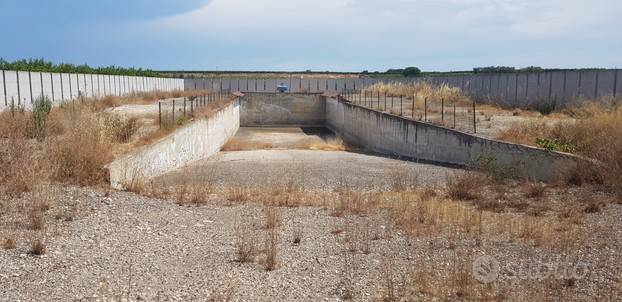 Terreno a Barletta - Foto 2