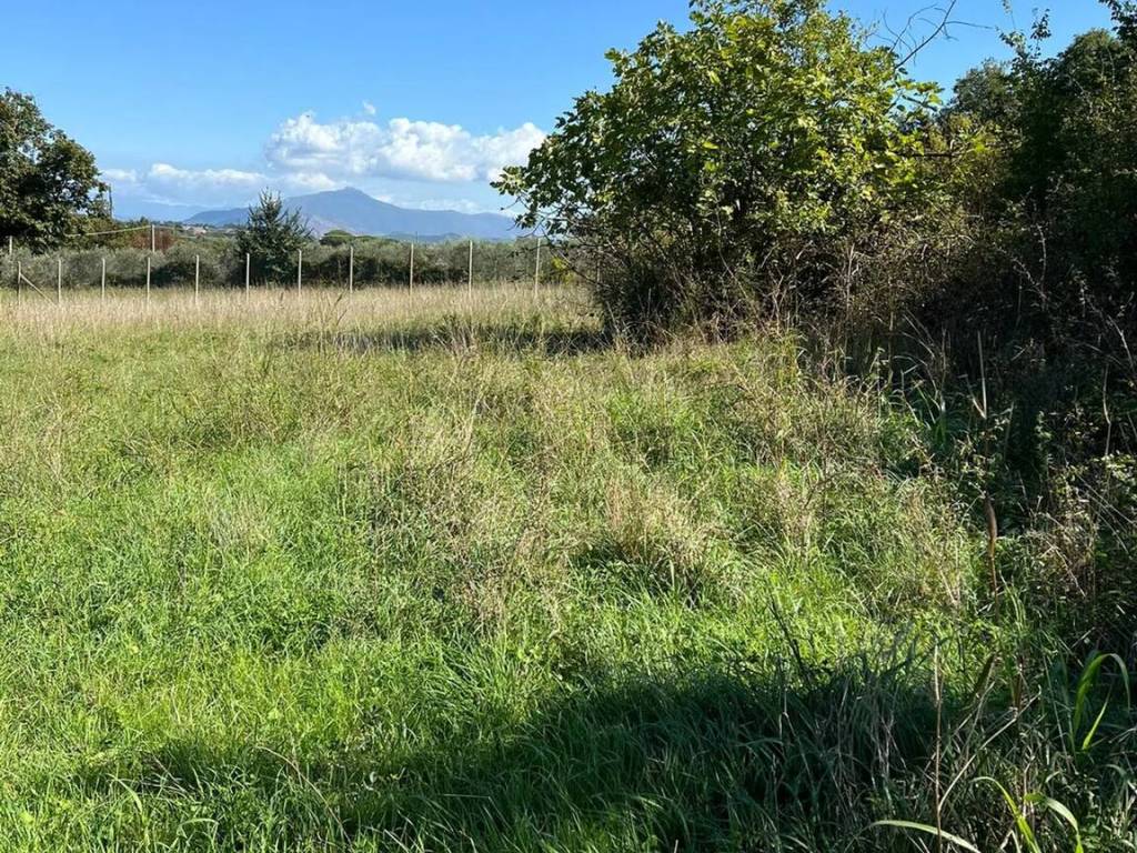Terreno a Carinola in Via Padre Michele Piccirillo, 1 - Foto 4