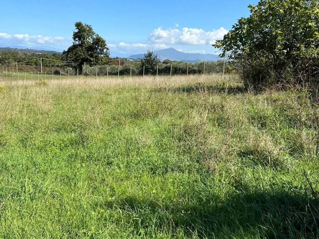 Terreno a Carinola in Via Padre Michele Piccirillo, 1 - Foto 5