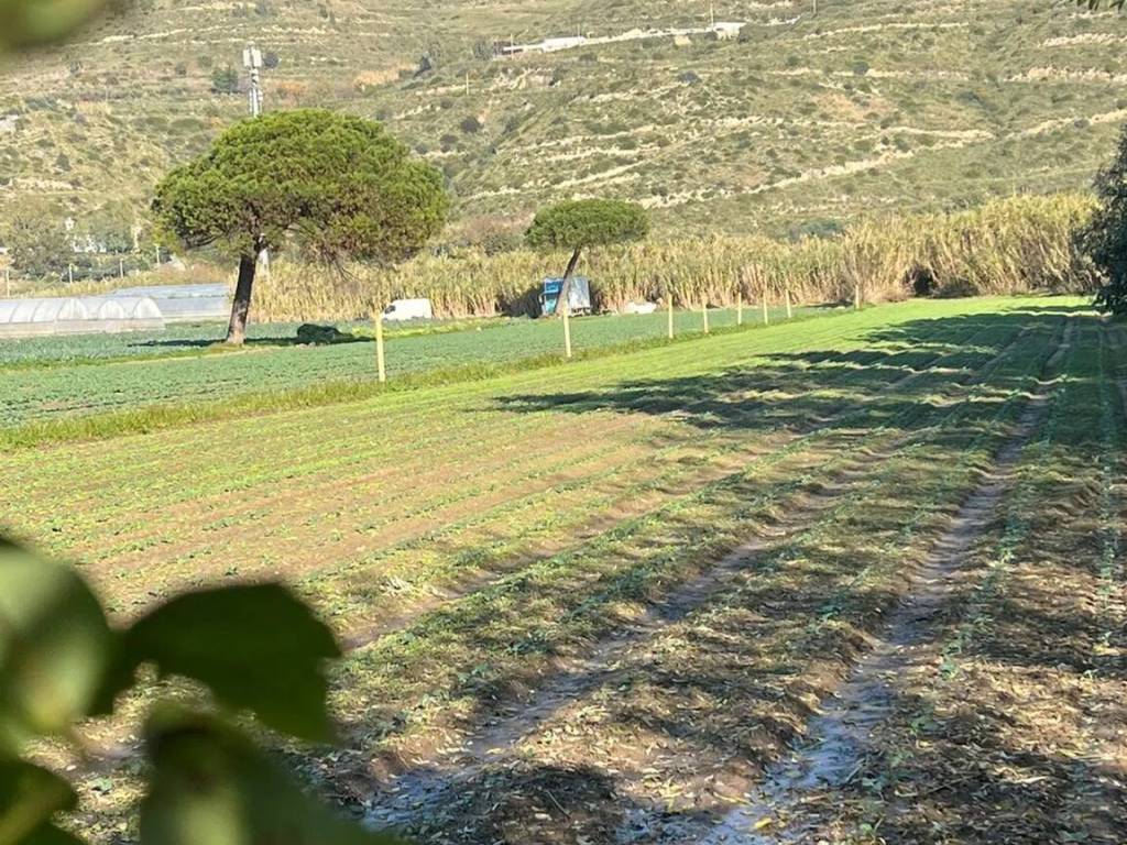 Terreno a Mondragone in Via Appia Antica, 21 - Foto 5