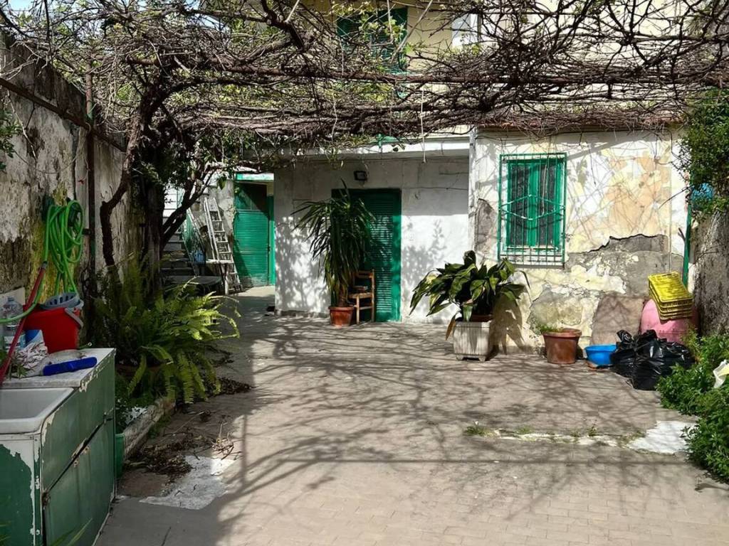 Villa a Falciano del massico in Via Sambuco, 12 - Foto 2