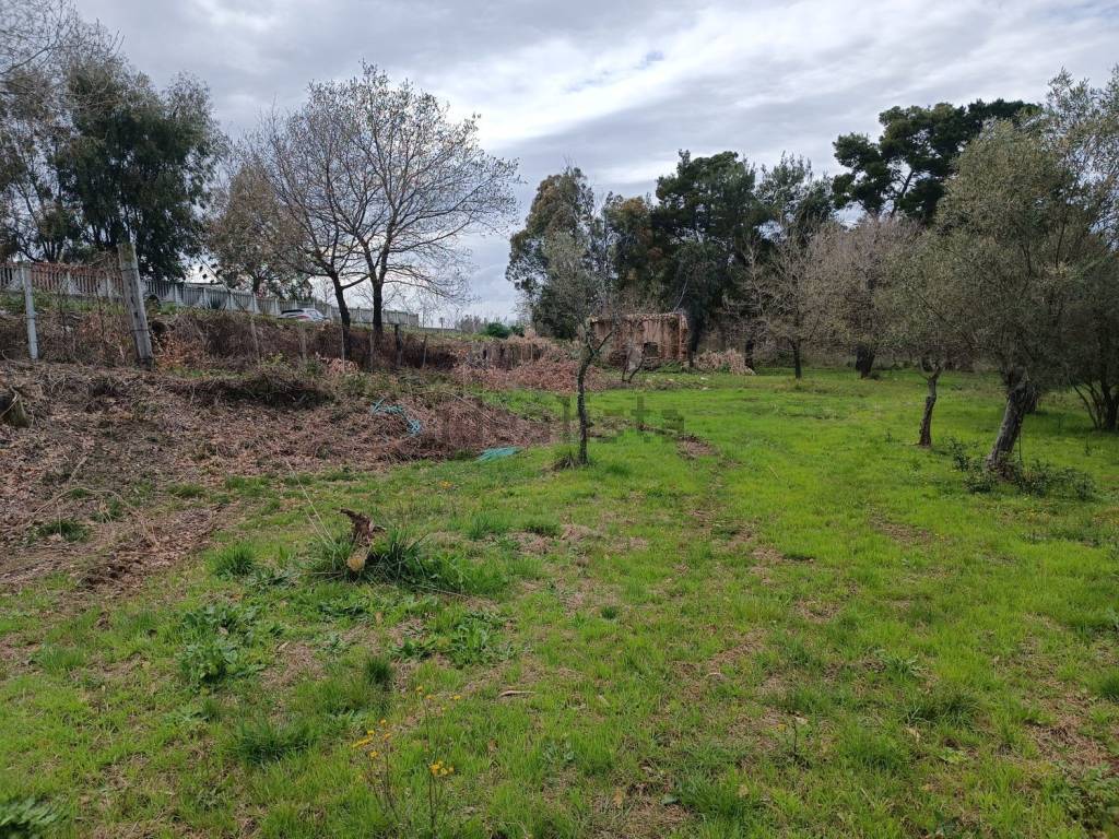 Terreno a Ricadi in Contrada Ciaramiti S.N.C. - Foto 3