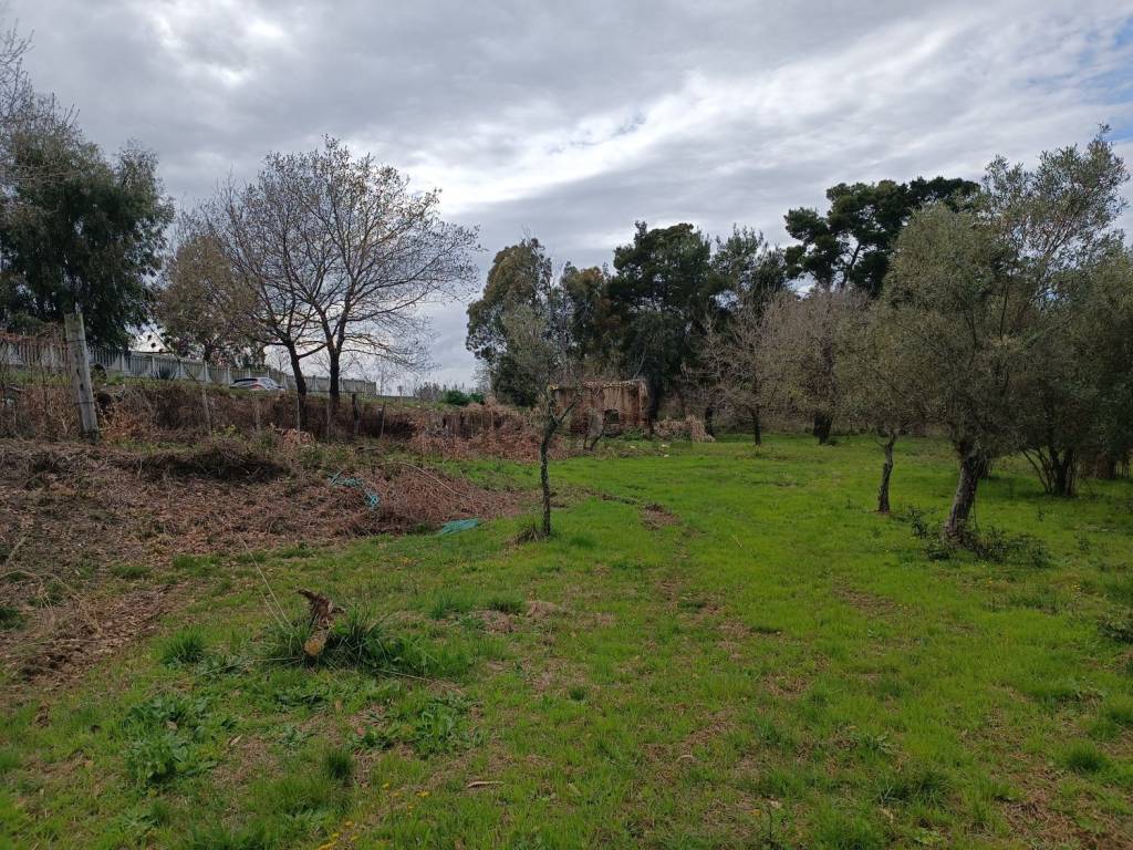 Terreno a Ricadi in Contrada Ciaramiti S.N.C. - Foto 4