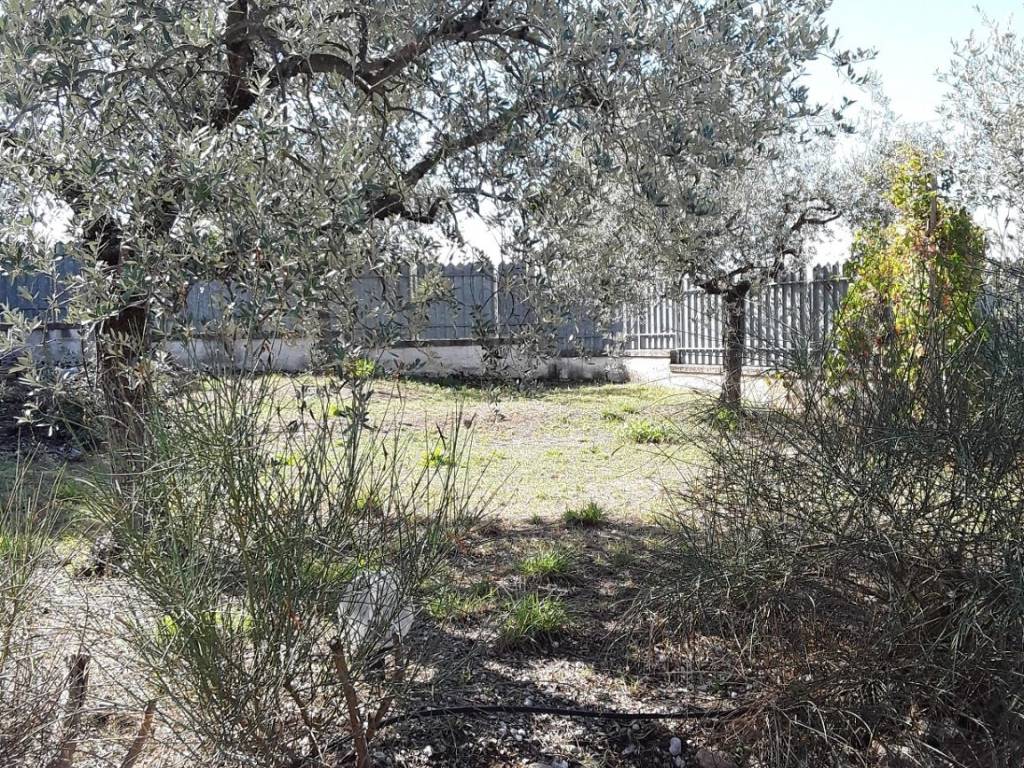 Terreno a Trevi in Strada Comunale Renacci - Foto 2