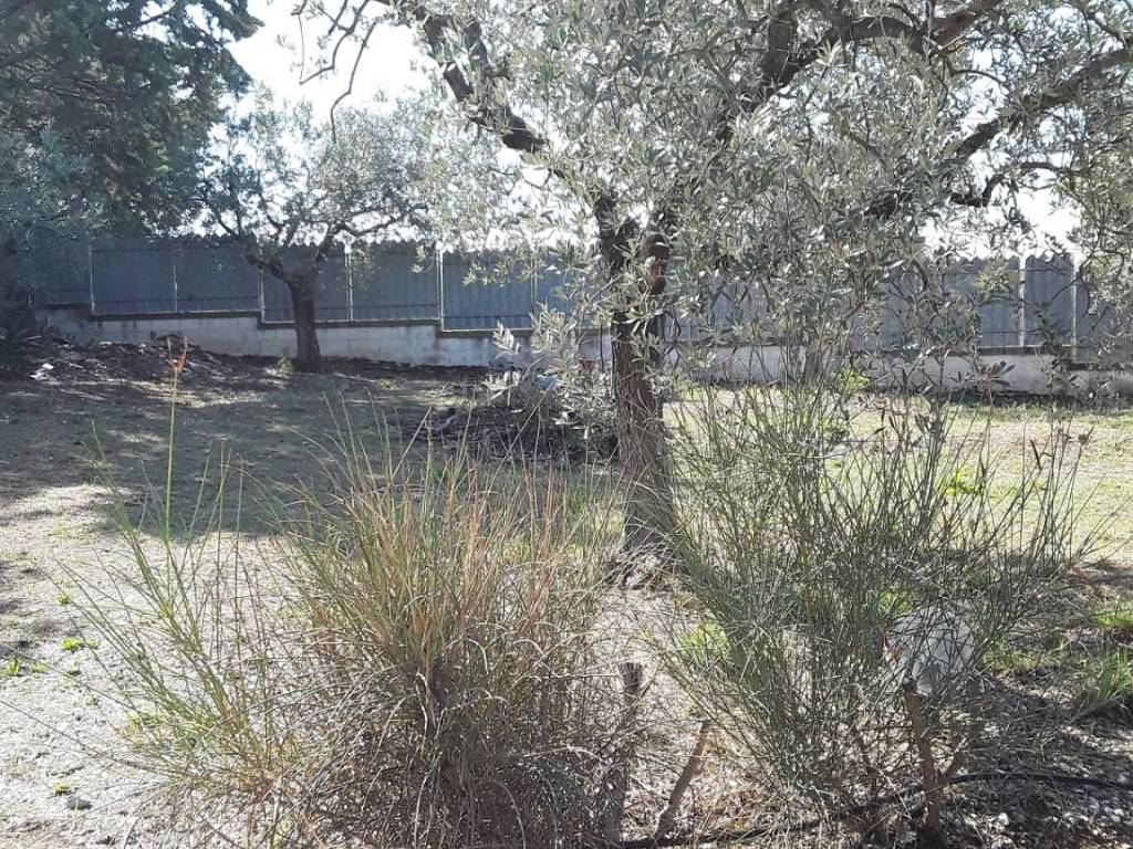 Terreno a Trevi in Strada Comunale Renacci - Foto 3