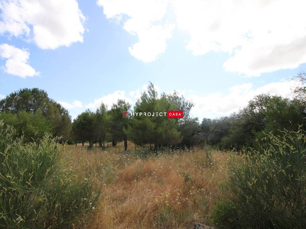 Terreno a Martina franca in Strada Paretone - Foto 3