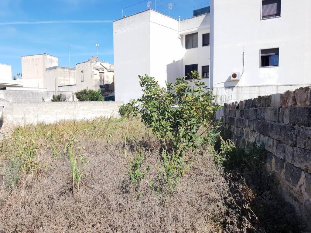 Terreno a Galatone in Via S. Caputi - Foto 3