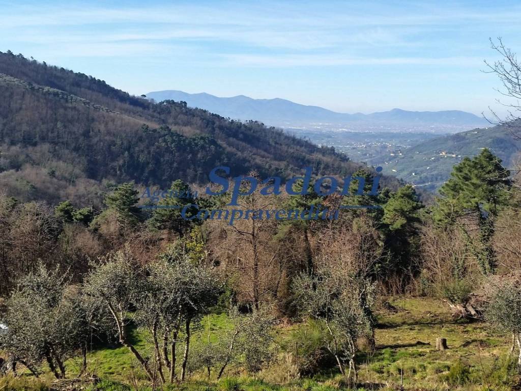 Terreno a Pescia in Via Casa Nuova - Foto 2