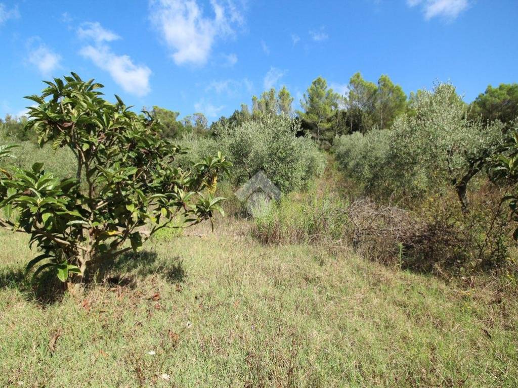 Terreno a Livorno in via di monterotondo - Foto 4