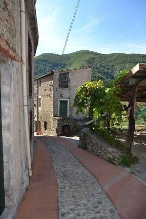 Rustico / casale a Balestrino in Via Villaro, 11 - Foto 3