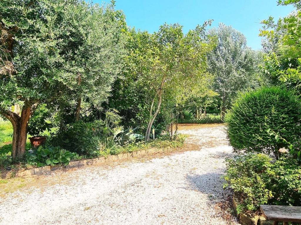 Rustico / casale a Valeggio sul mincio in Strada Salionze - Foto 5