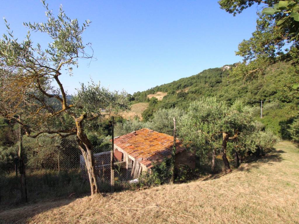 Rustico / casale a Umbertide in Via della Fonte - Foto 2