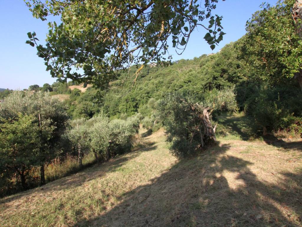 Rustico / casale a Umbertide in Via della Fonte - Foto 4