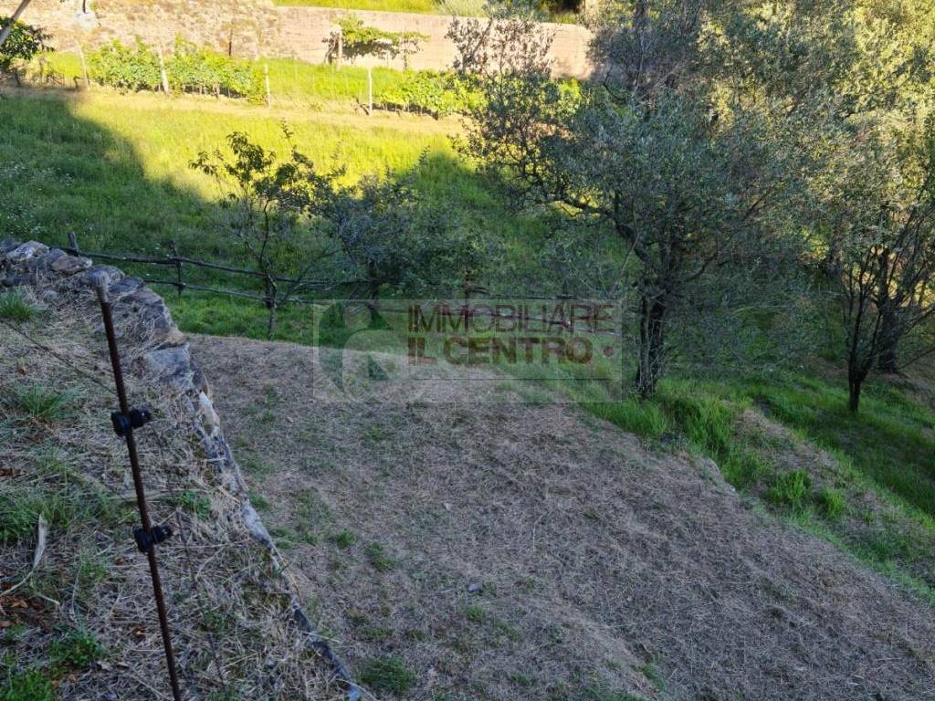 Terreno a Sarzana - Foto 2