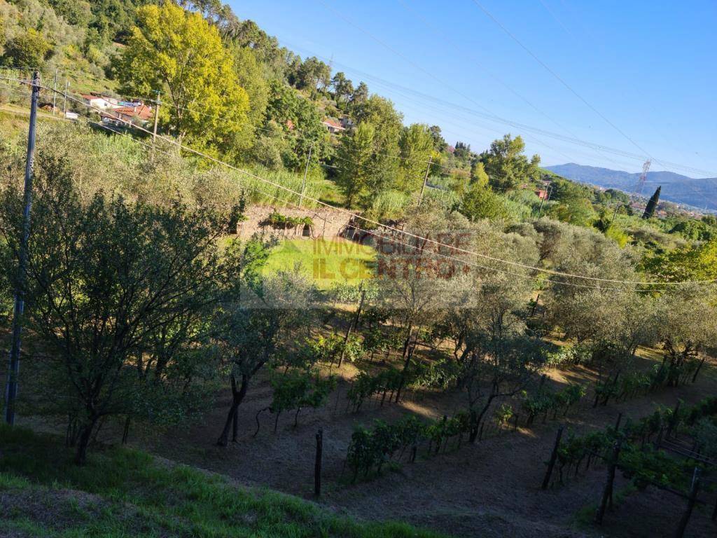 Terreno a Sarzana - Foto 3