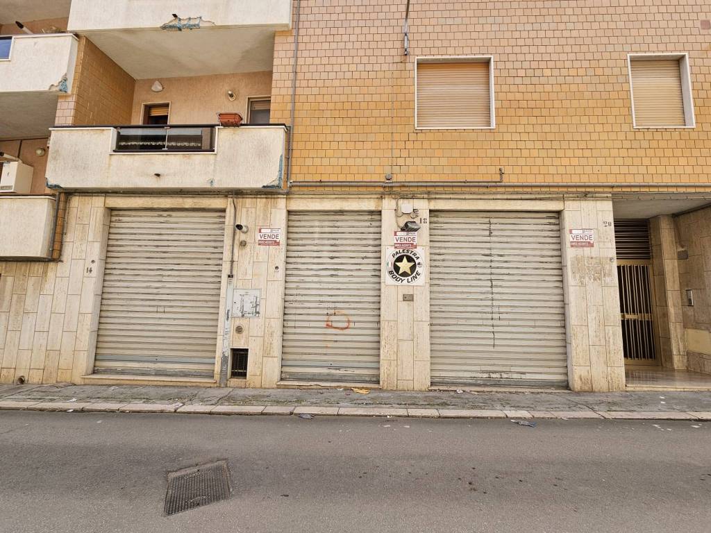 Immobile a San severo in Via Caravaggio - Foto 3